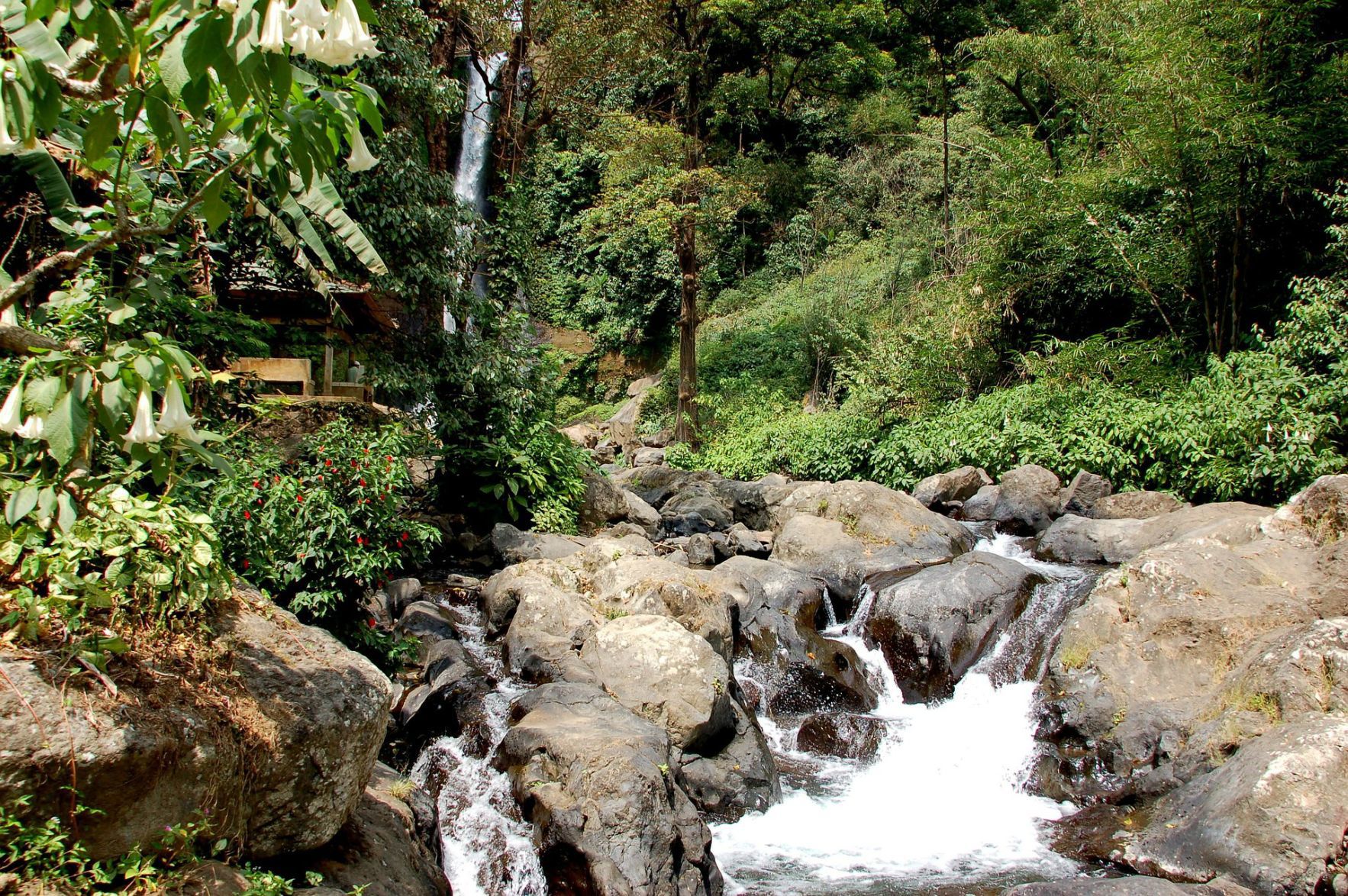 Bali waterfalls